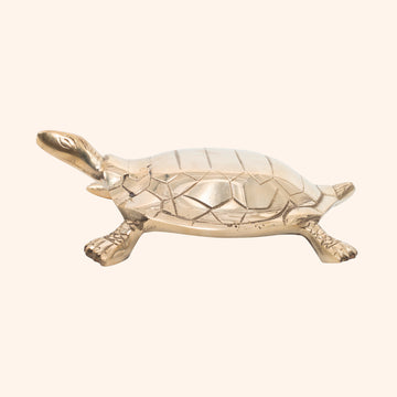 VASTU VARDAN BRASS HOLLOW BIG TURTLE