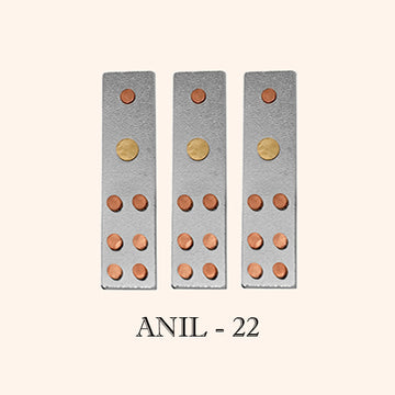 VASTU VARDAN ANIL DEVTA DIVS