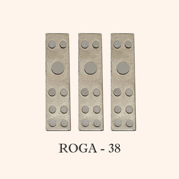 VASTU VARDAN ROGA DEVTA DIVS