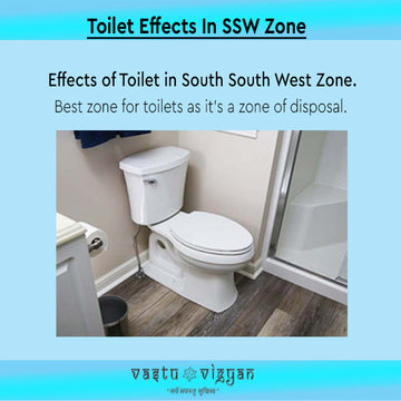 Toilet Effects in South South West Zone.