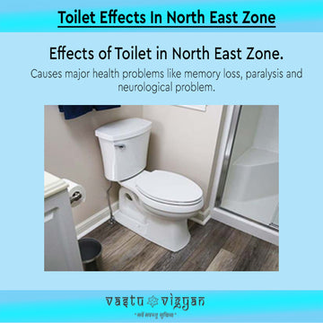 Toilet Effects In North East Zone.