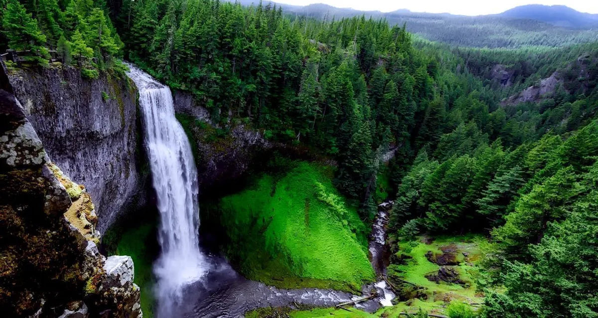 Waterfall Painting Vastu: Importance, Benefits & Placement