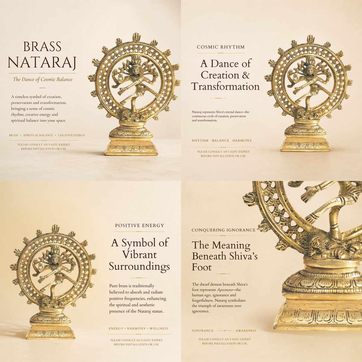 VASTU VARDAN BRASS NATRAJ JI