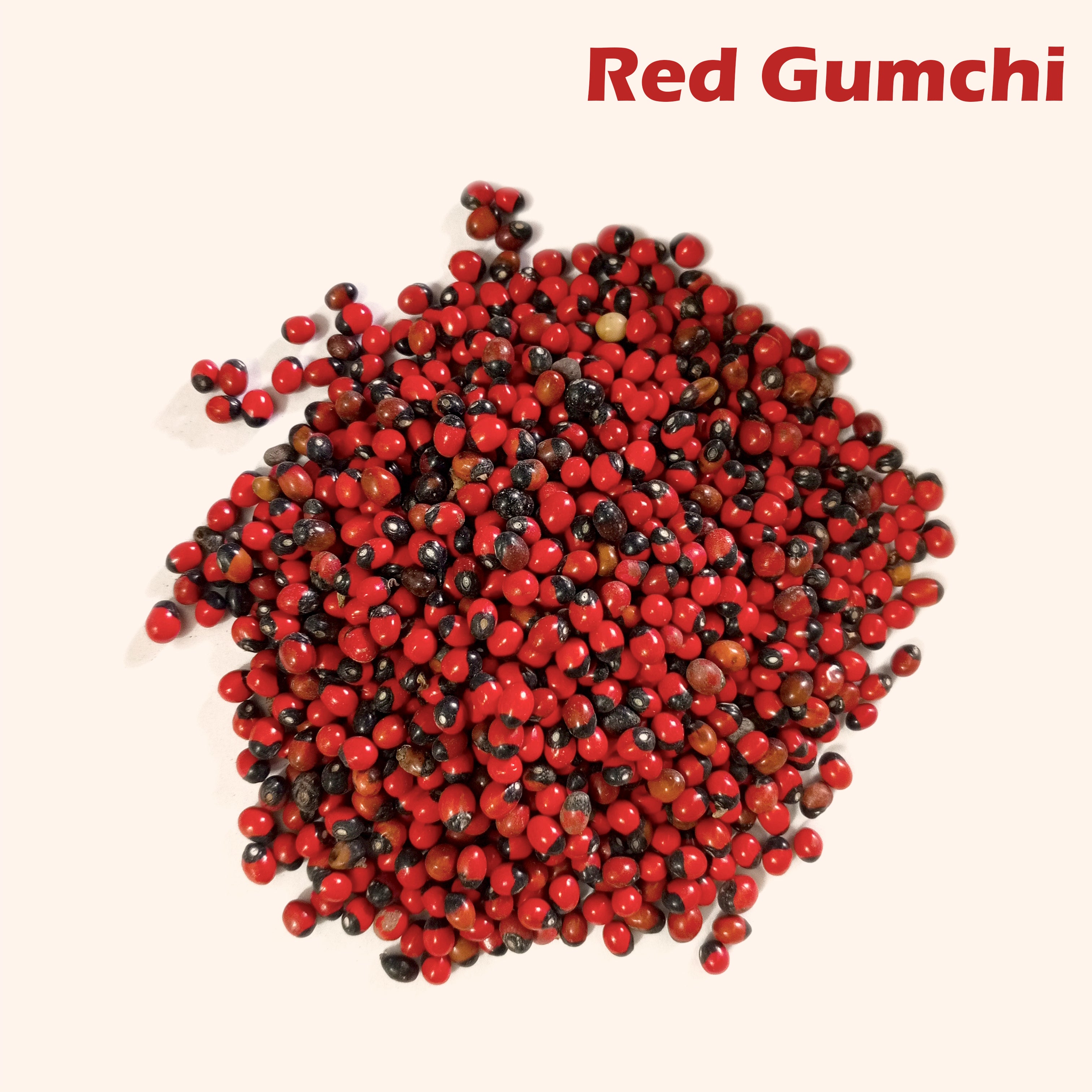 VASTU VARDAN RED GUMCHI 1 KG