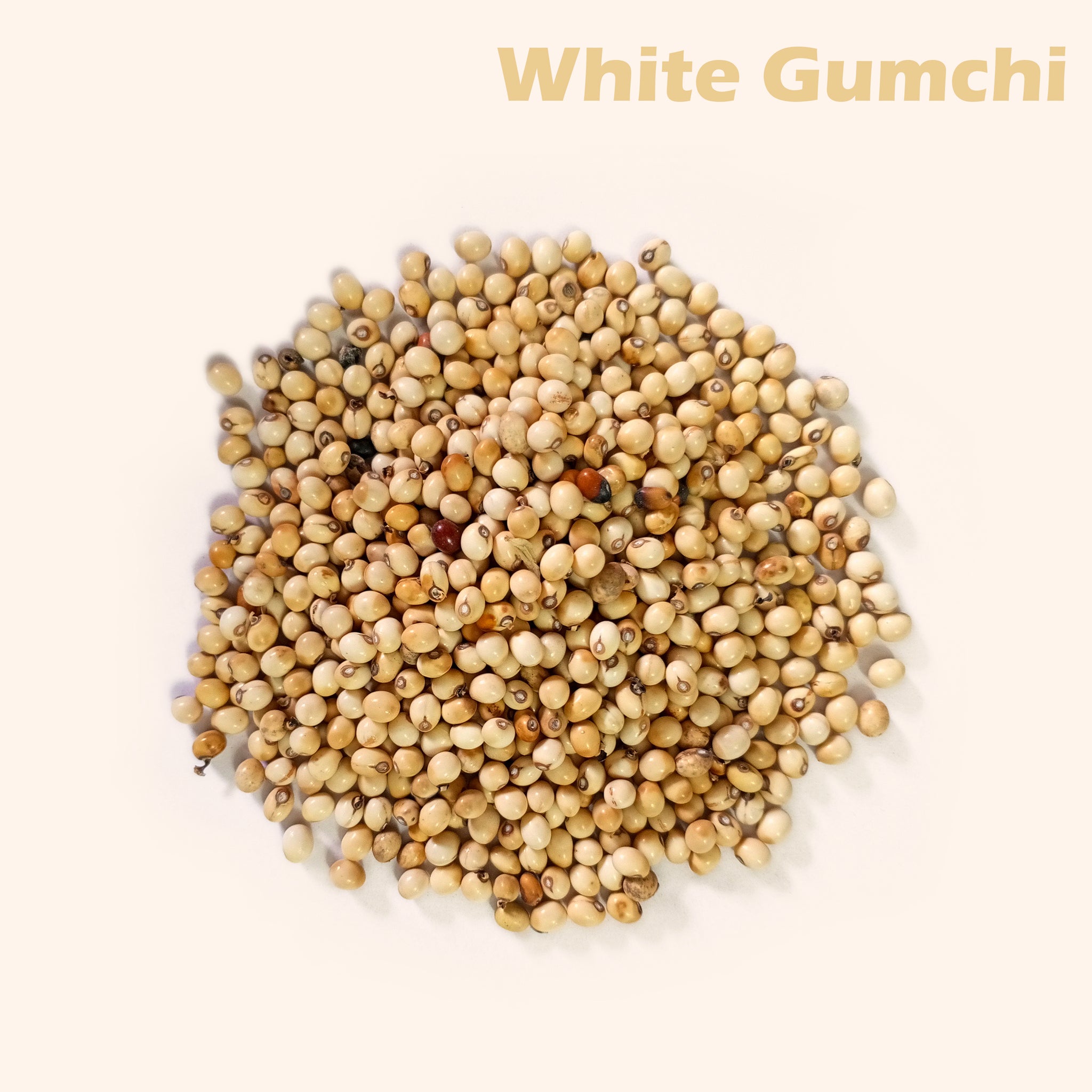 VASTU VARDAN WHITE GUMCHI 1 KG