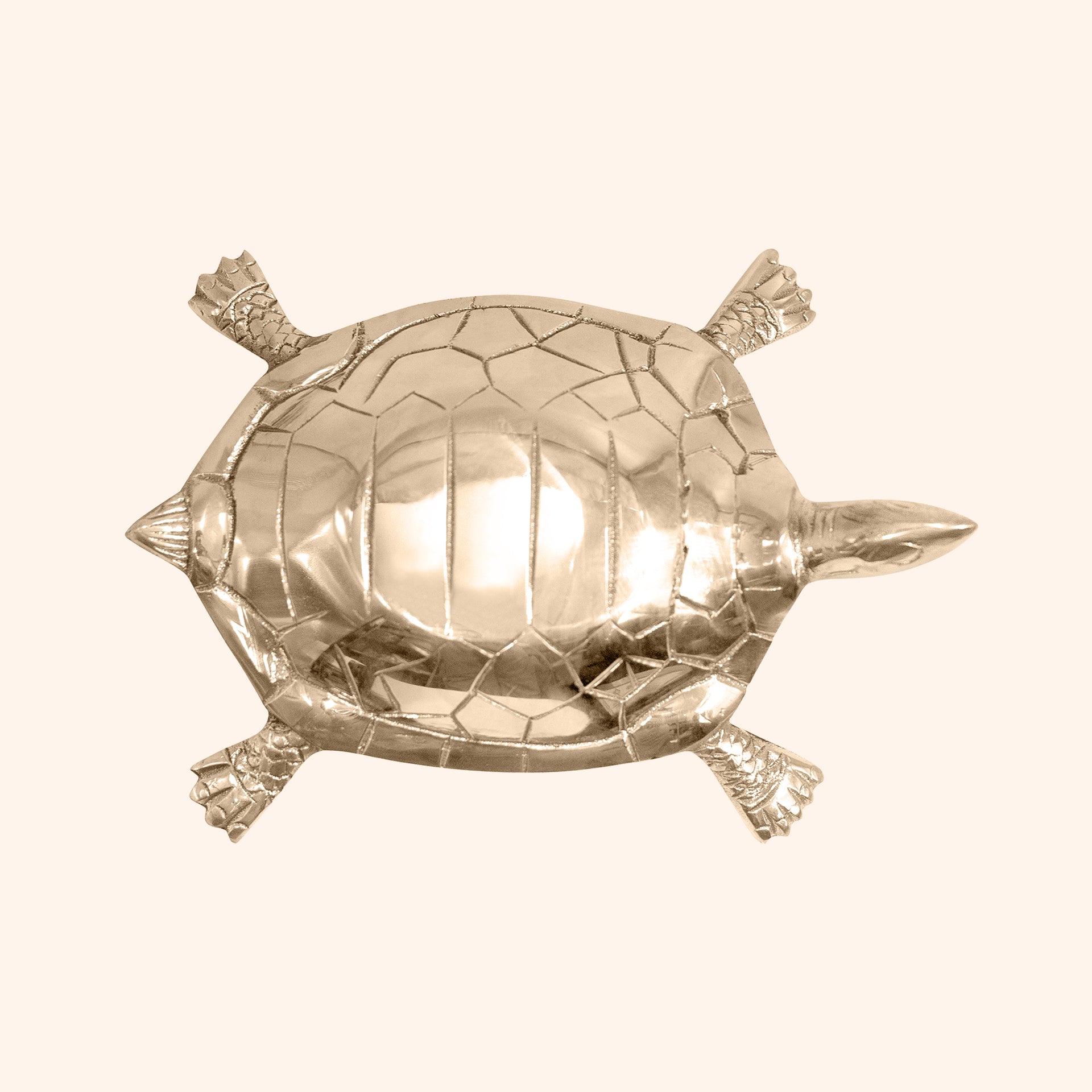 VASTU VARDAN BRASS HOLLOW BIG TURTLE