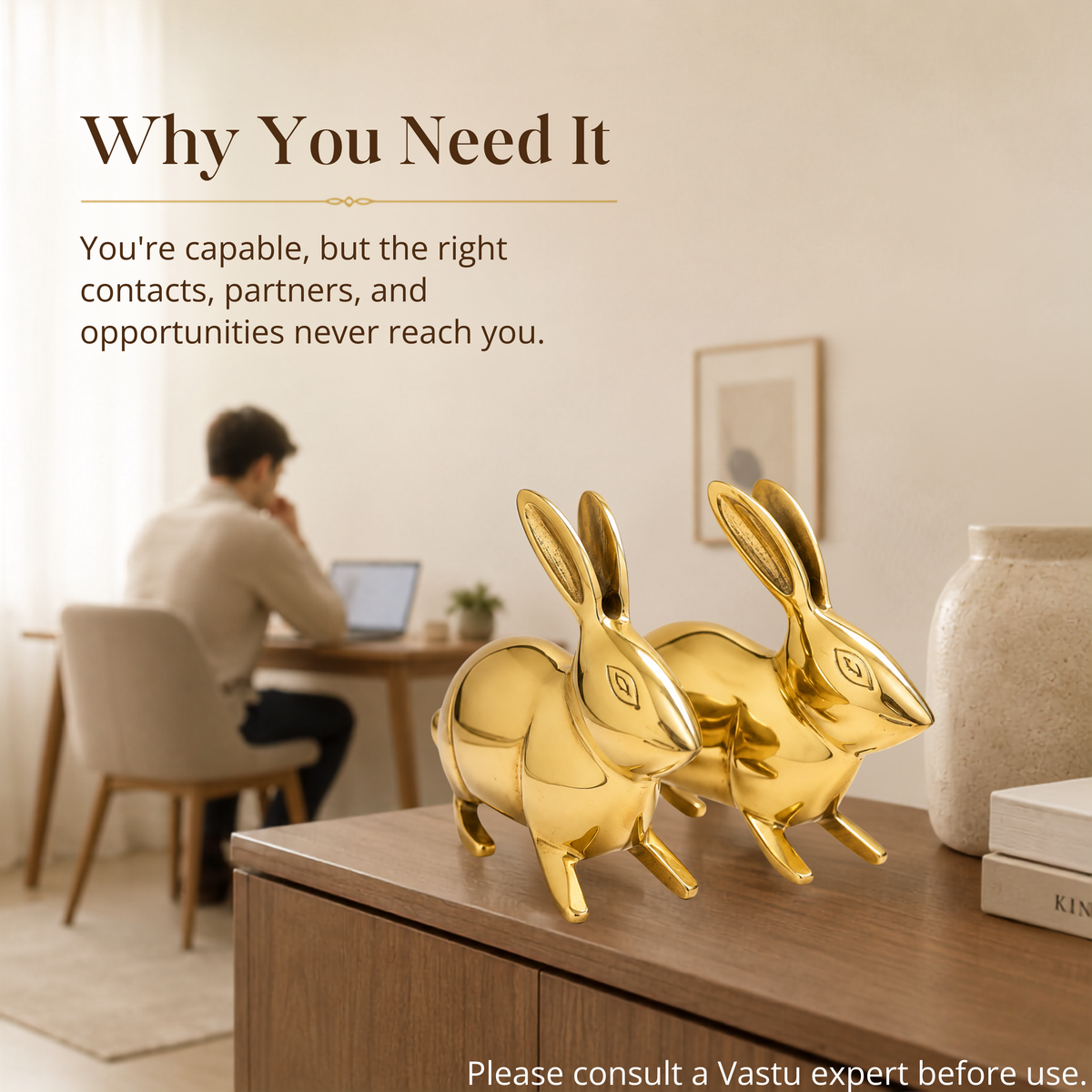 VASTU VARDAN BRASS SMALL RABBIT PAIR STATUE
