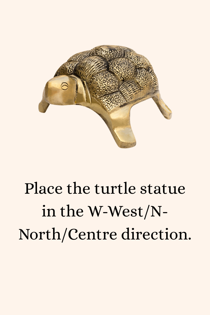 VASTU VARDAN BRASS HOLLOW SMALL TURTLE