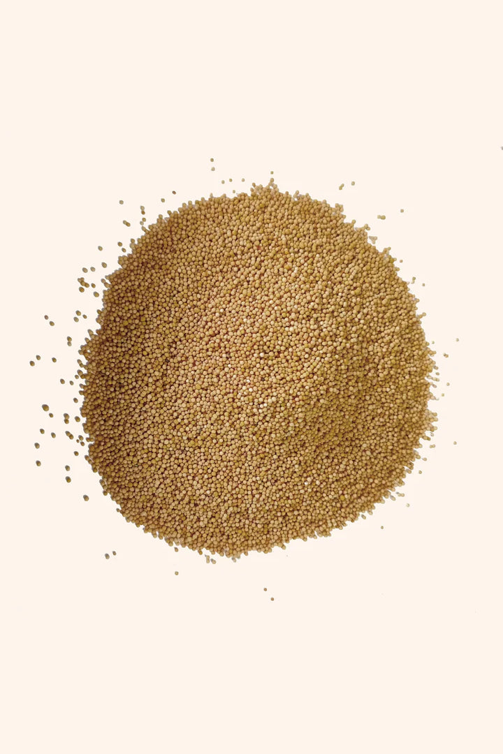 YELLOW SARSO 1 KG - Energy Cleansing & Problem Removal Remedies