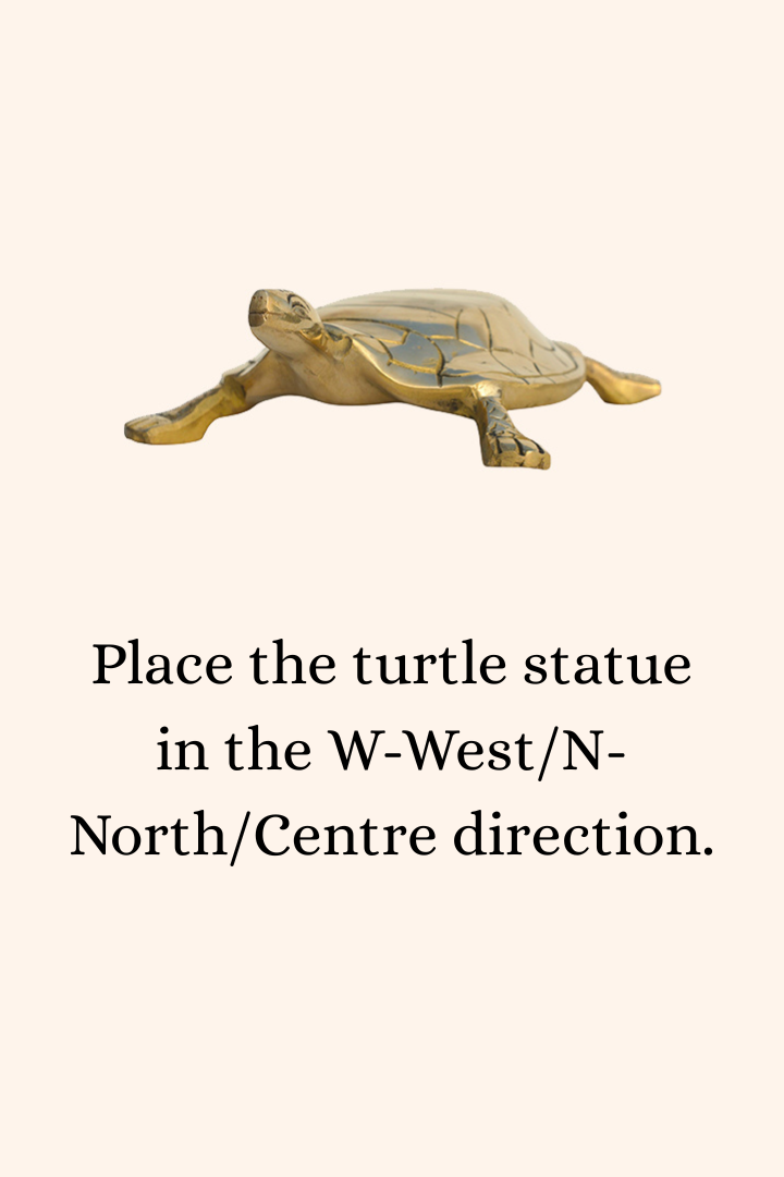 VASTU VARDAN BRASS HOLLOW BIG TURTLE