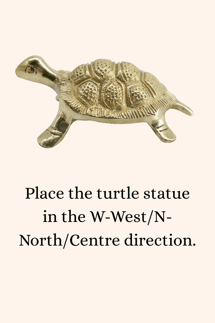 VASTU VARDAN BRASS SMALL YANTRA TURTLE 2 INCH