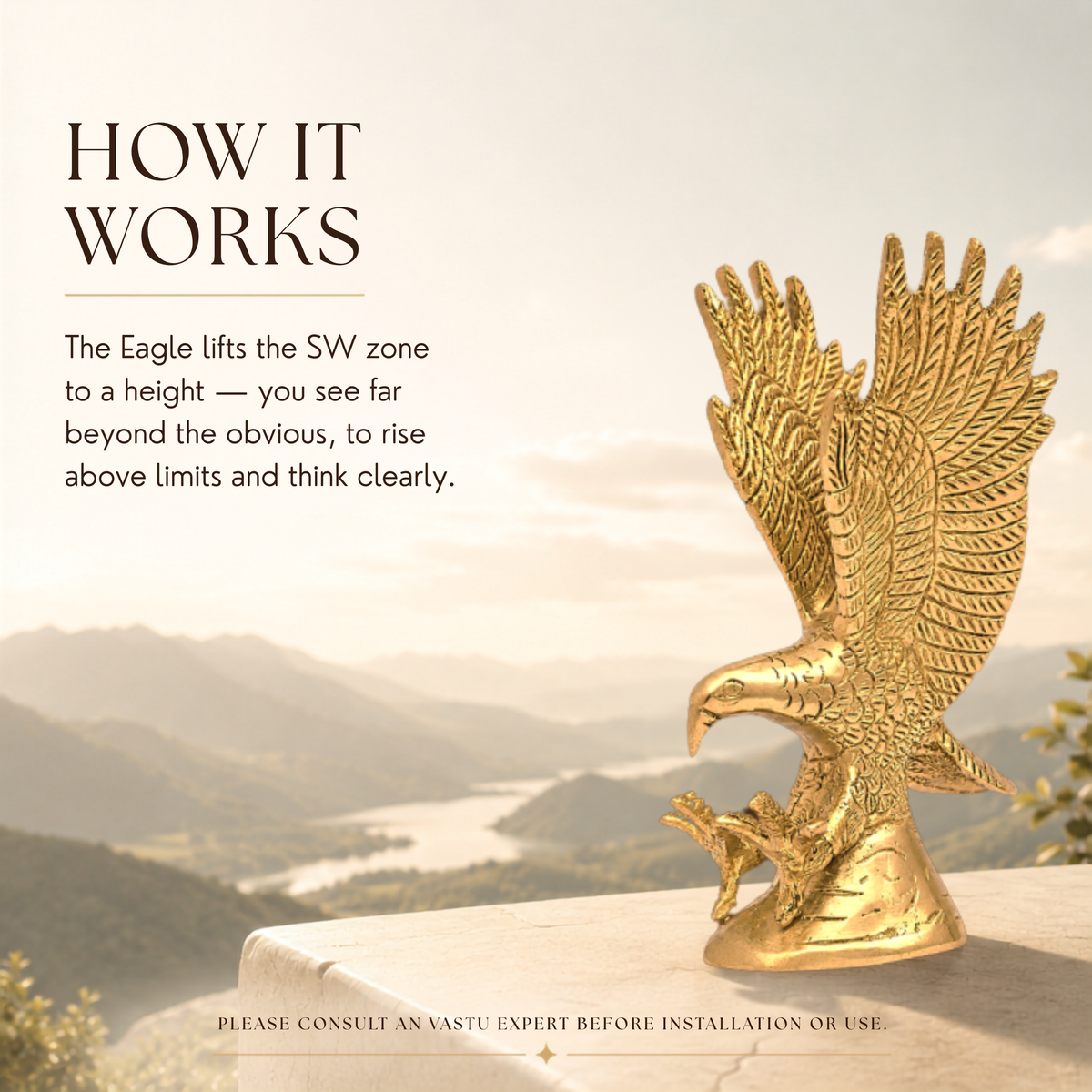 VASTU VARDAN BRASS EAGLE