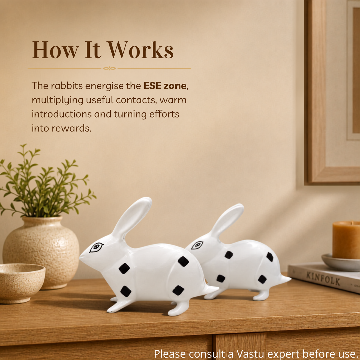 VASTU VARDAN BRASS SMALL RABBIT PAIR BLACK & WHITE