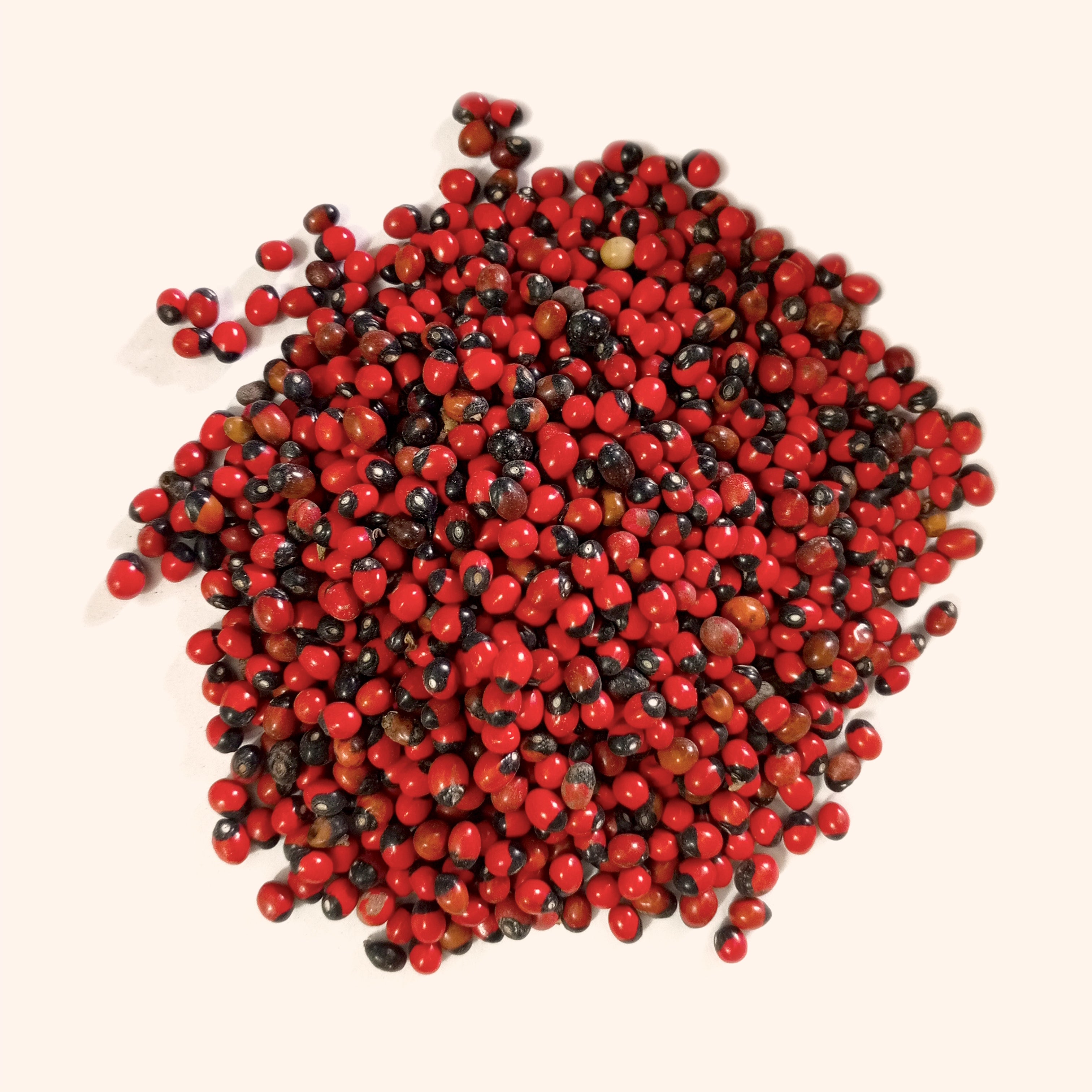 VASTU VARDAN RED GUMCHI 1 KG