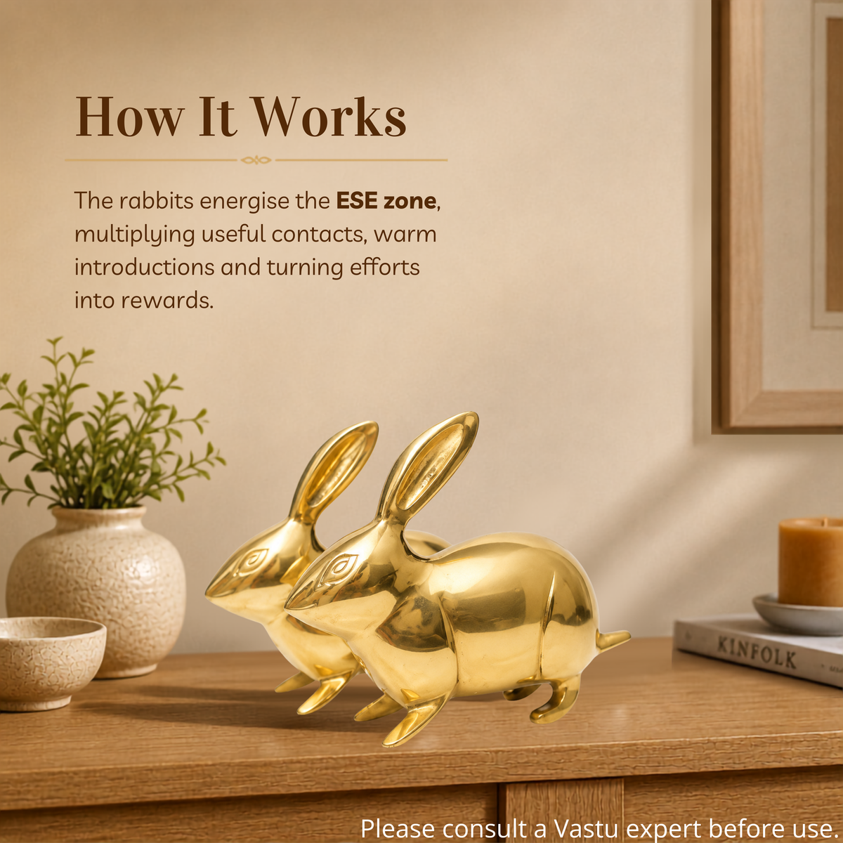VASTU VARDAN BRASS SMALL RABBIT PAIR STATUE