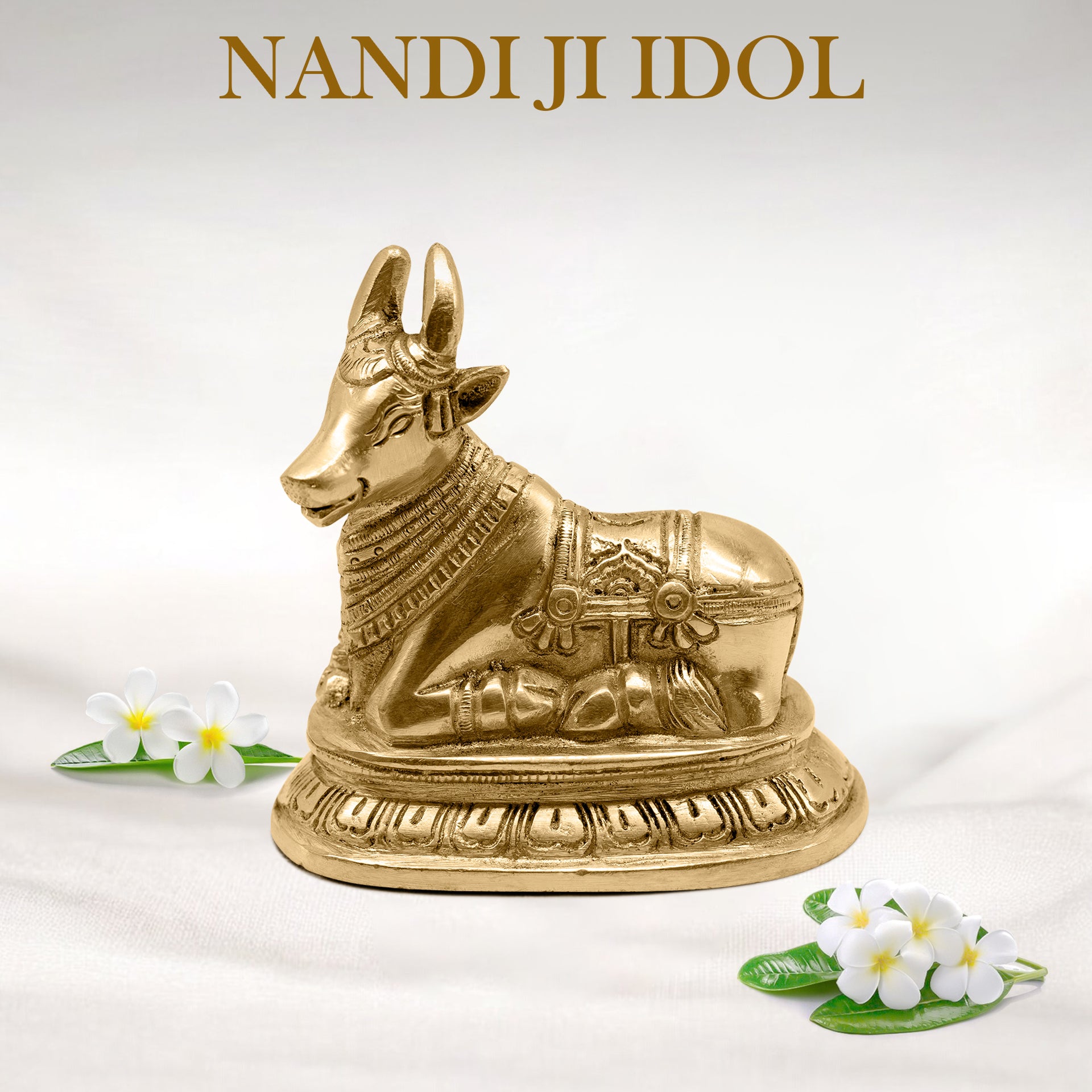 VASTU VARDAN BRASS NANDI JI