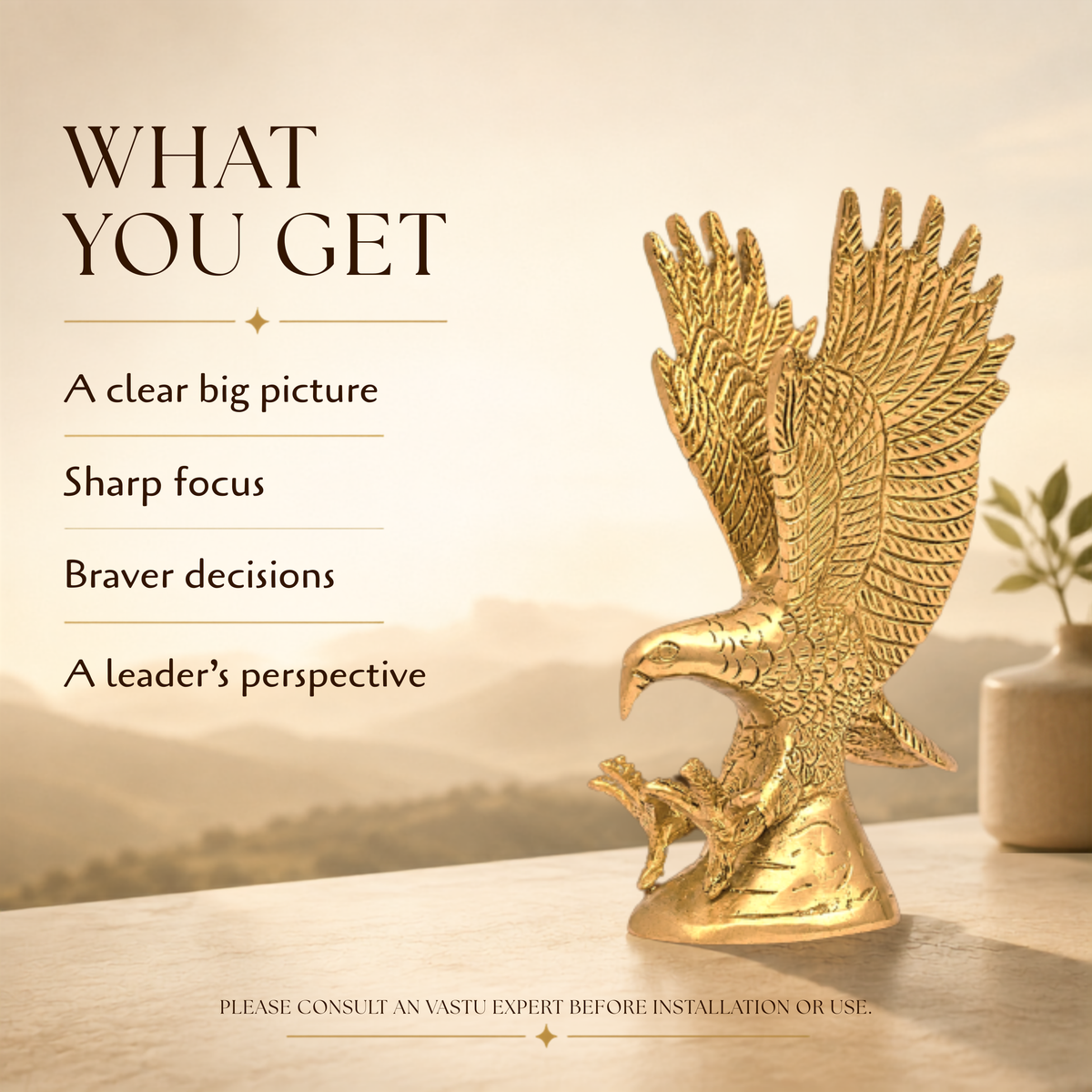 VASTU VARDAN BRASS EAGLE