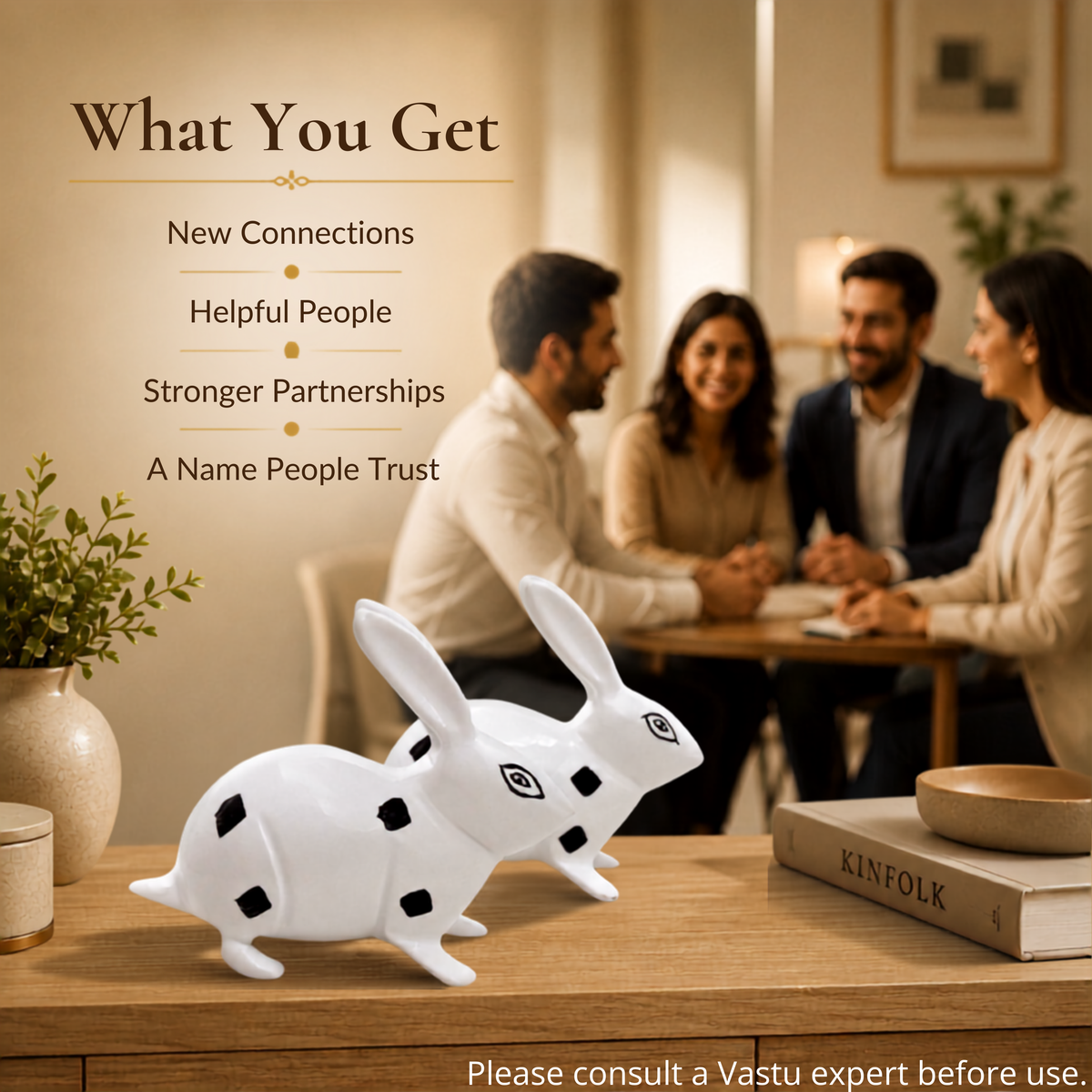 VASTU VARDAN BRASS SMALL RABBIT PAIR BLACK & WHITE