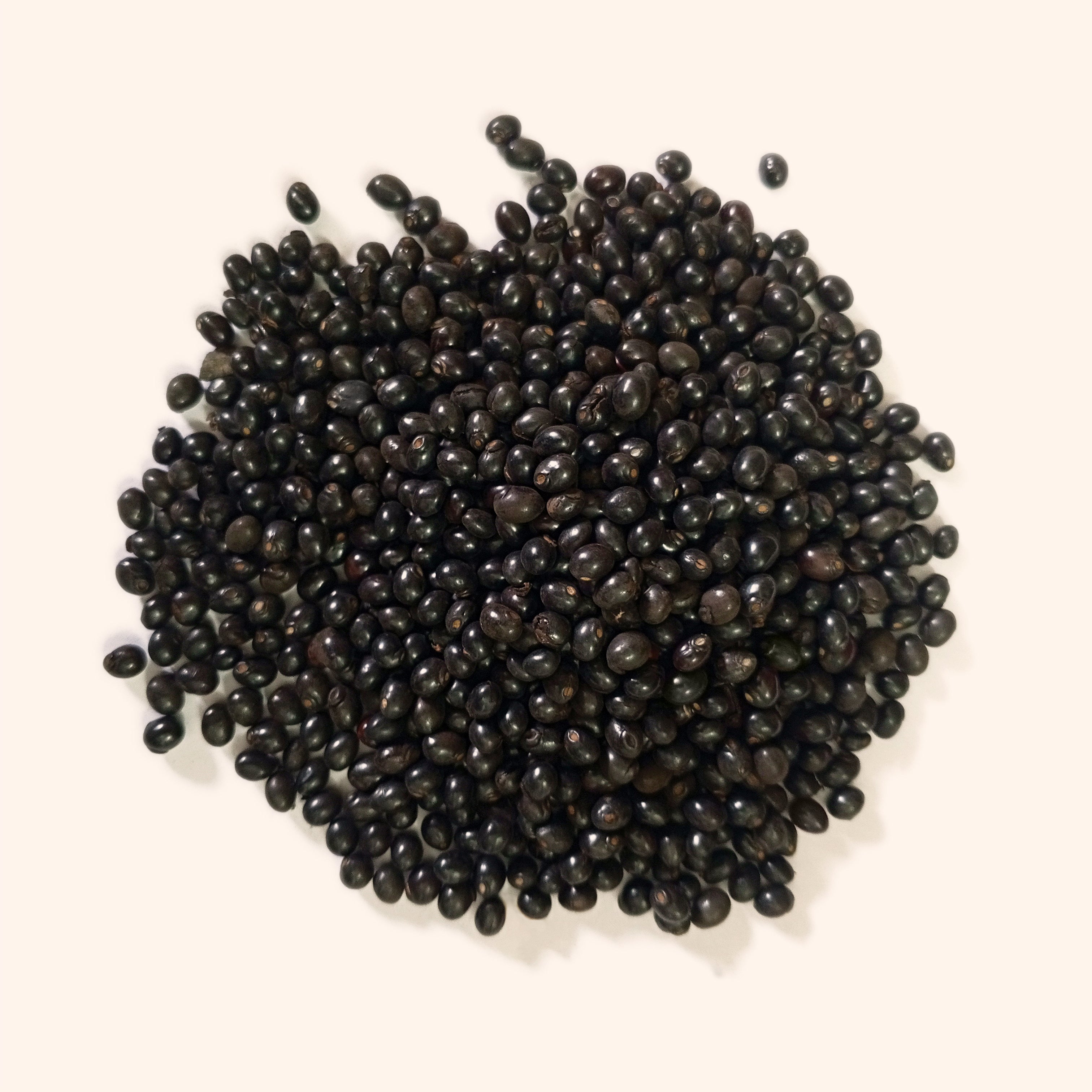 VASTU VARDAN BLACK GUMCHI 1 KG