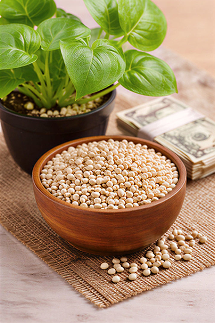 WHITE GUMCHI (1 KG) - Spiritually uplifting environment