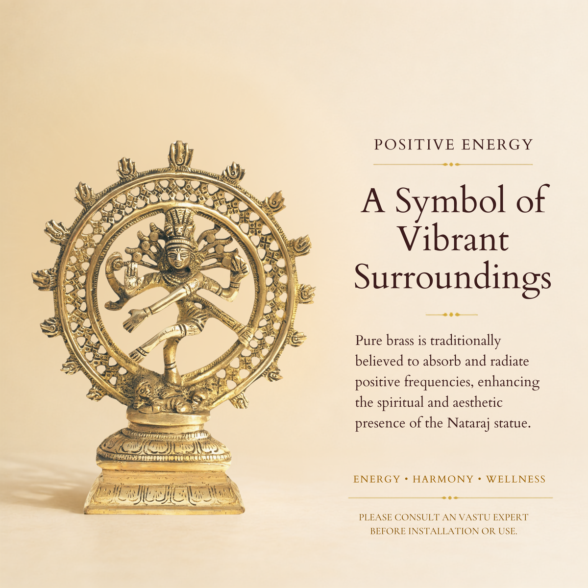 VASTU VARDAN BRASS NATRAJ JI