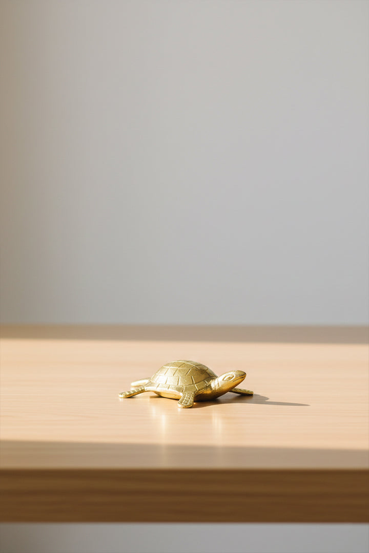 VASTU VARDAN BRASS BIG YANTRA TURTLE