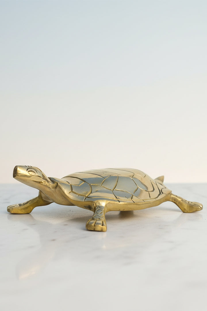 VASTU VARDAN BRASS HOLLOW BIG TURTLE