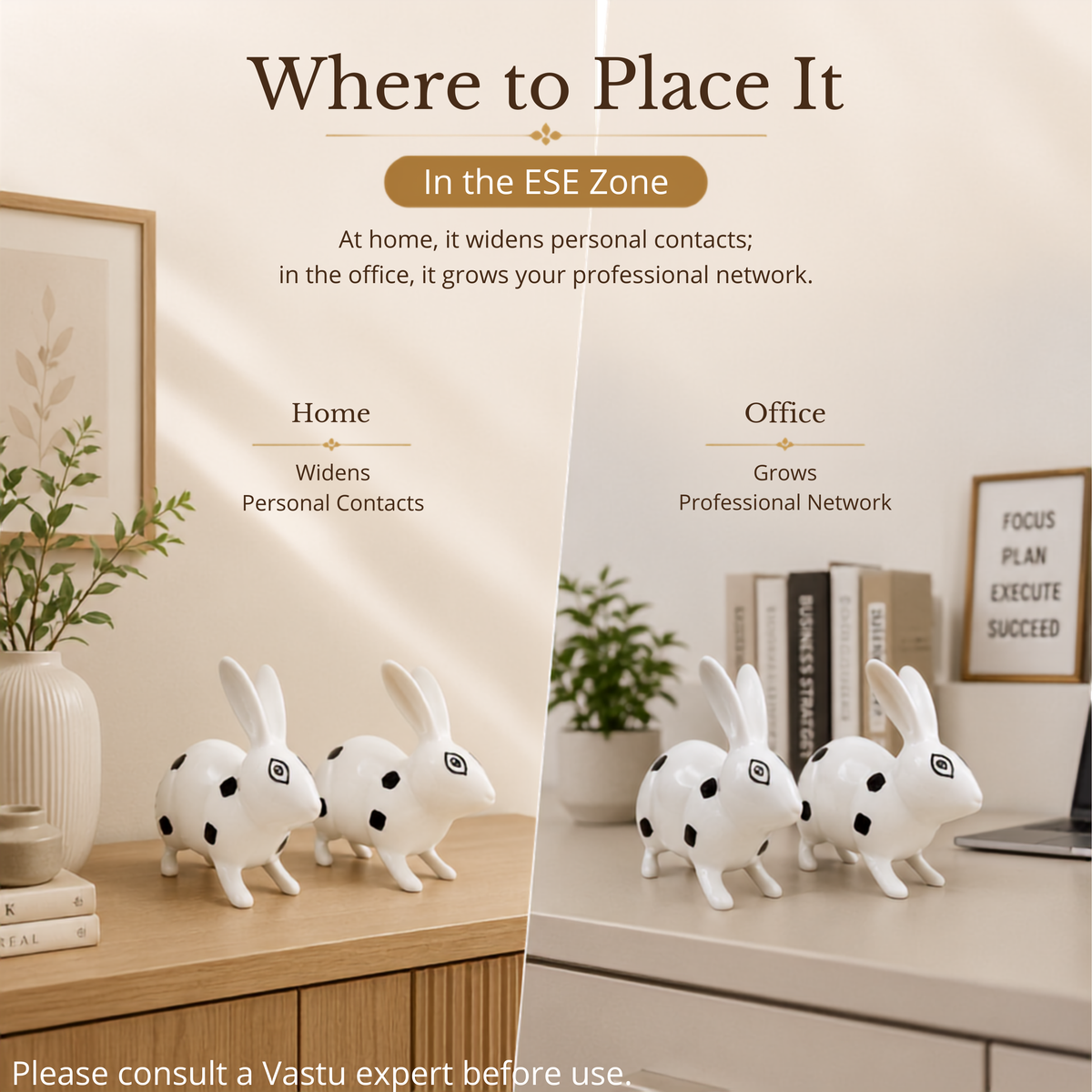 VASTU VARDAN BRASS SMALL RABBIT PAIR BLACK & WHITE