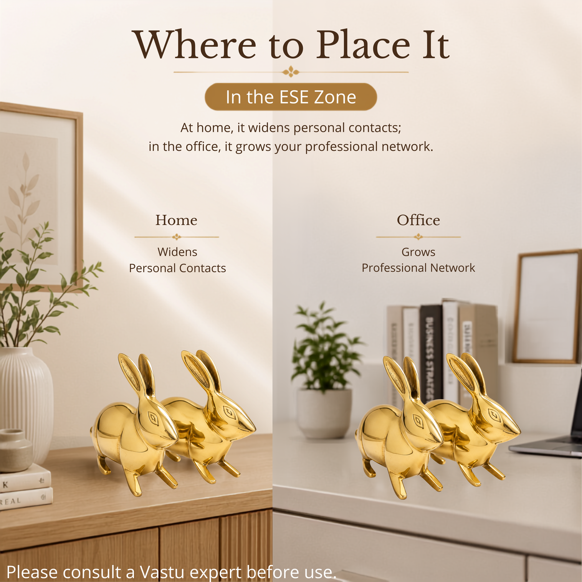 VASTU VARDAN BRASS SMALL RABBIT PAIR STATUE