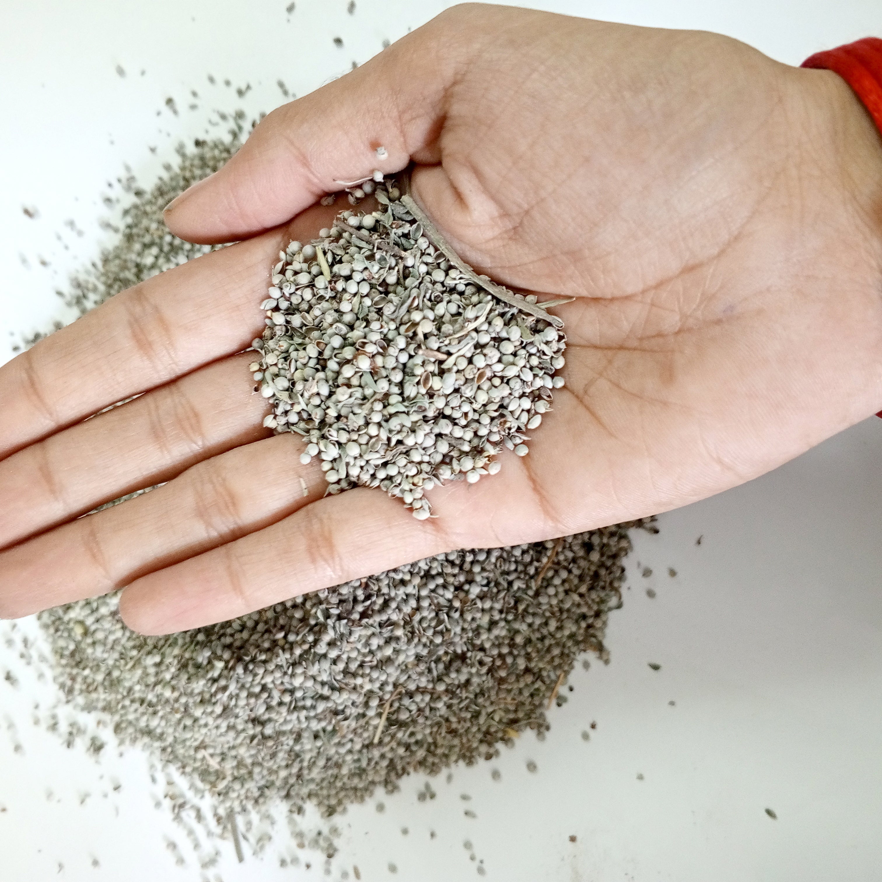 VASTU VARDAN WHITE SARSO 1 KG