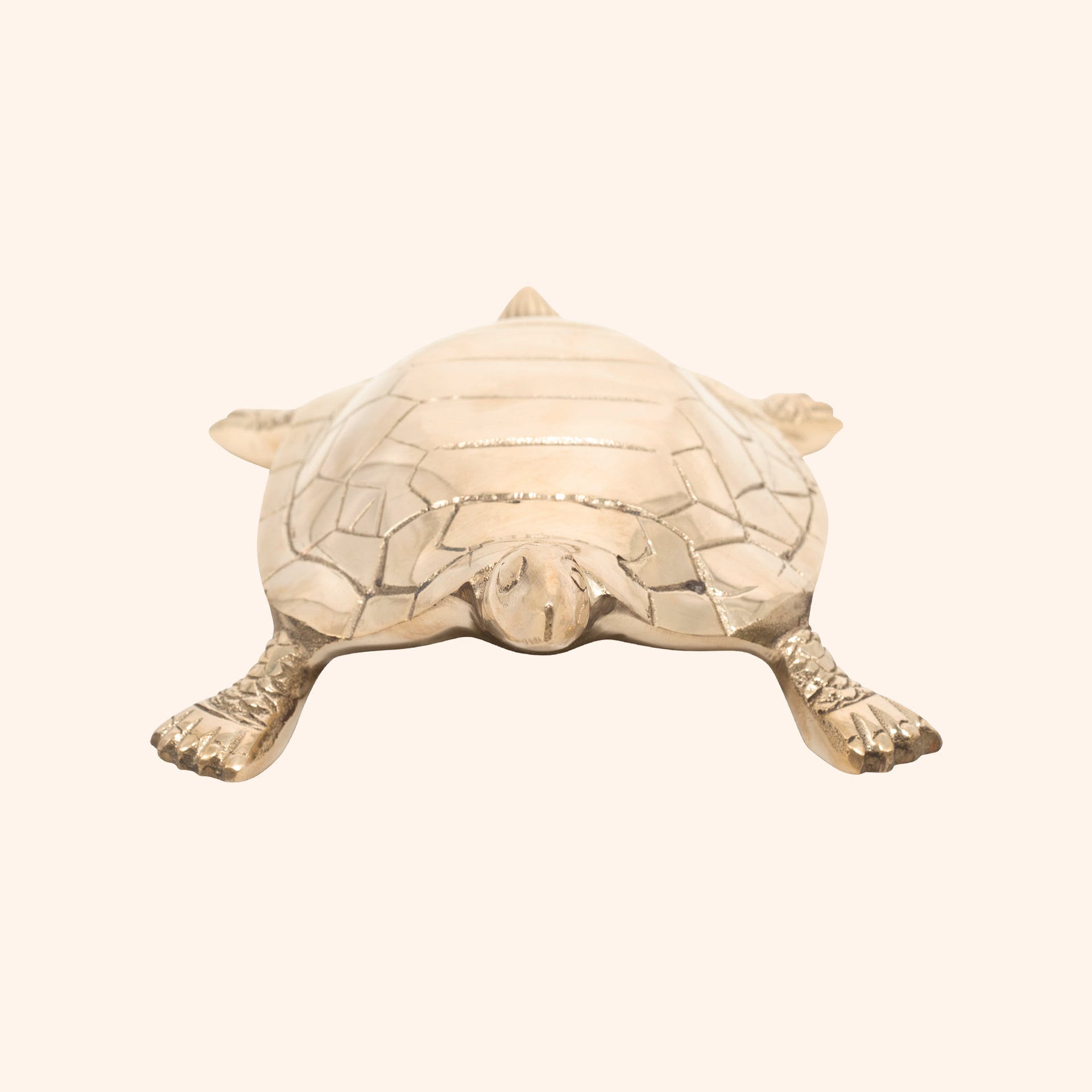 VASTU VARDAN BRASS HOLLOW BIG TURTLE