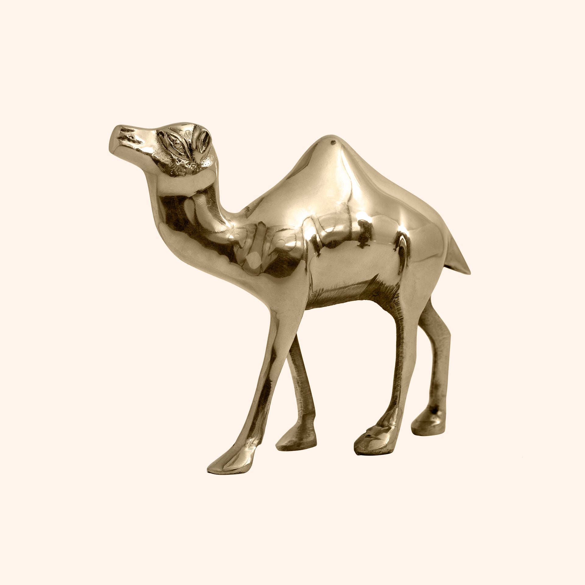 VASTU VARDAN CAMEL STATUE