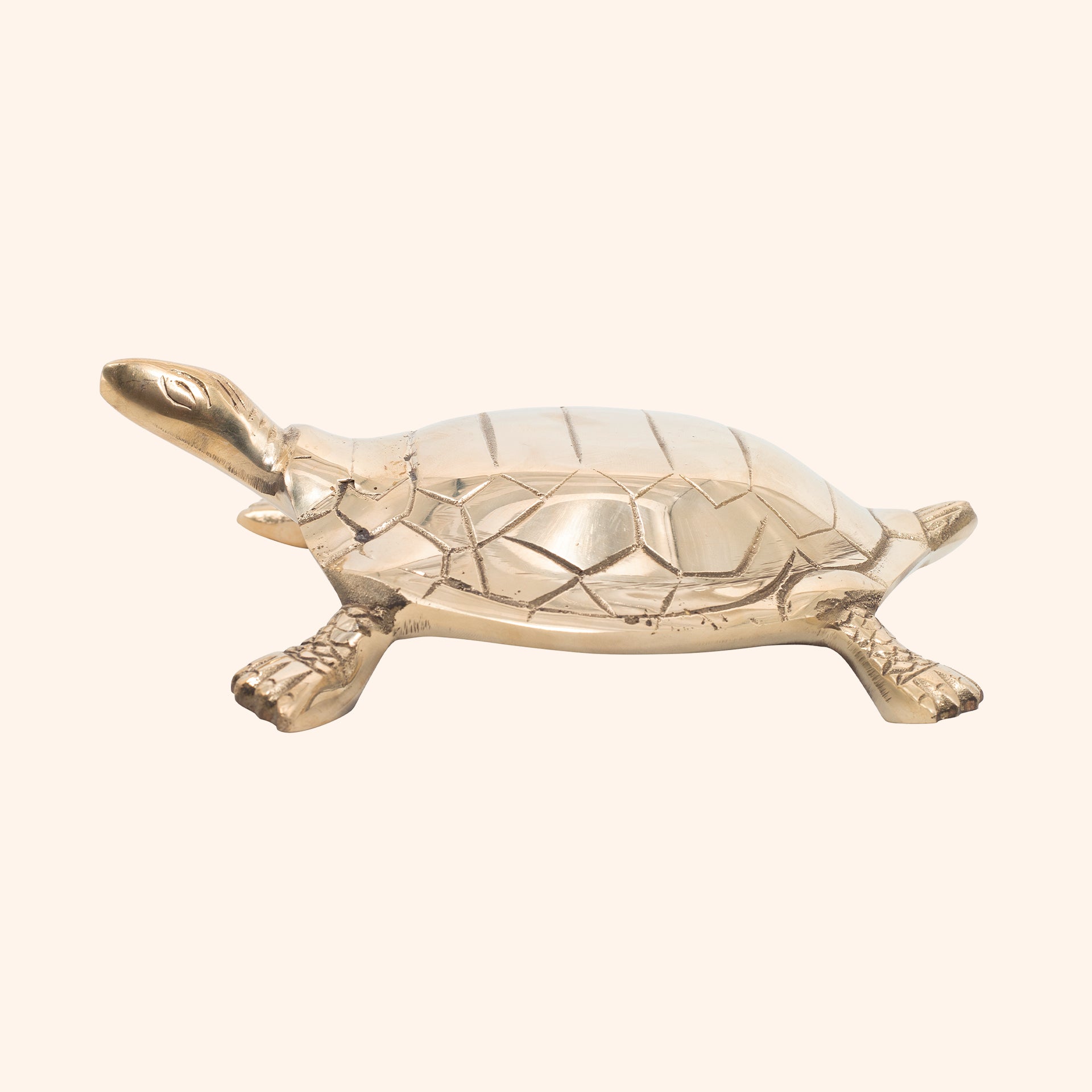 VASTU VARDAN BRASS HOLLOW BIG TURTLE