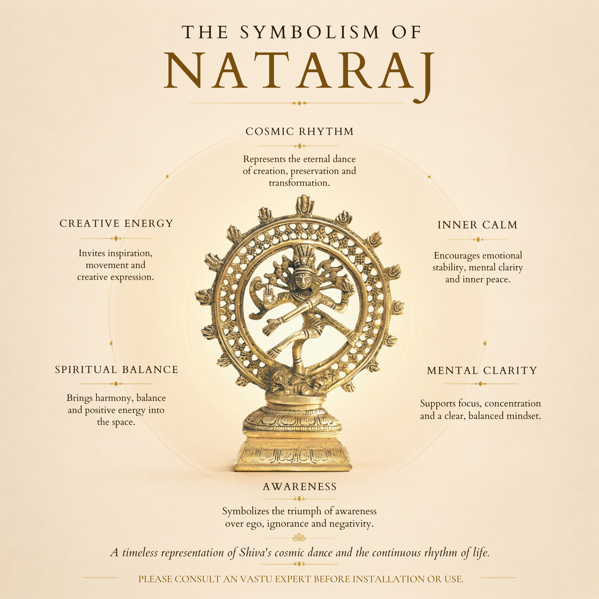 VASTU VARDAN BRASS NATRAJ JI