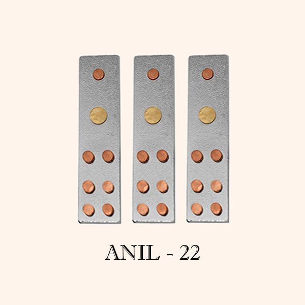 VASTU VARDAN ANIL DEVTA DIVS