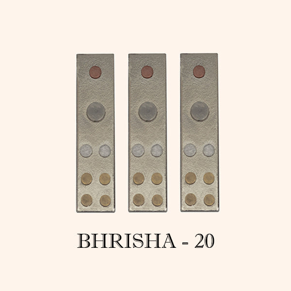 BHRISHA DIVS