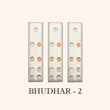 VASTU VARDAN BHUDHAR DEVTA DIVS