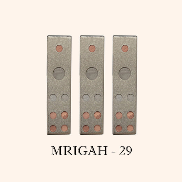 VASTU VARDAN MRIGAH DEVTA DIVS