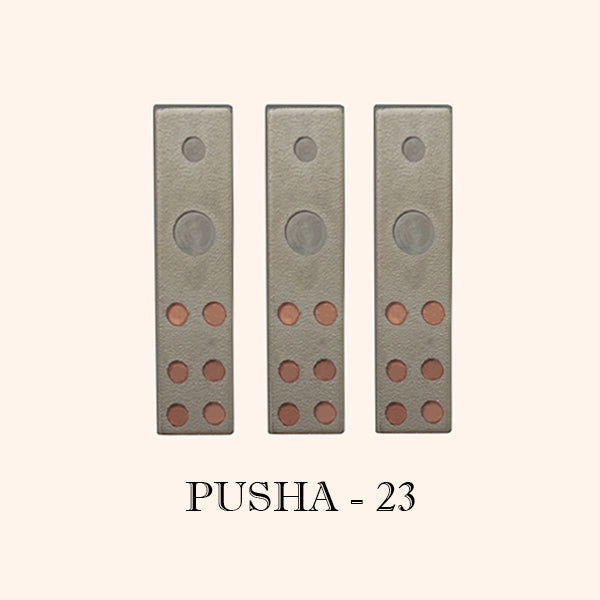 Pusha Devta VASTU VARDAN PUSHA DEVTA DIVS
