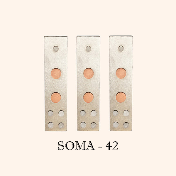 VASTU VARDAN SOMA DEVTA DIVS