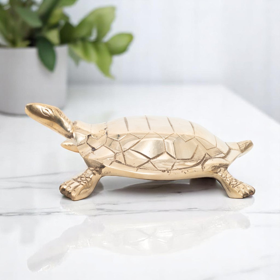VASTU VARDAN BRASS HOLLOW BIG TURTLE