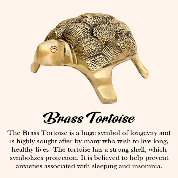 VASTU VARDAN BRASS SMALL YANTRA TURTLE 2 INCH