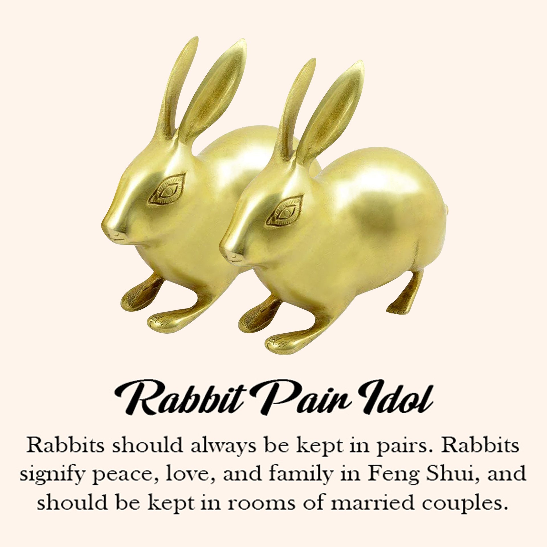 VASTU VARDAN BRASS BIG RABBIT PAIR