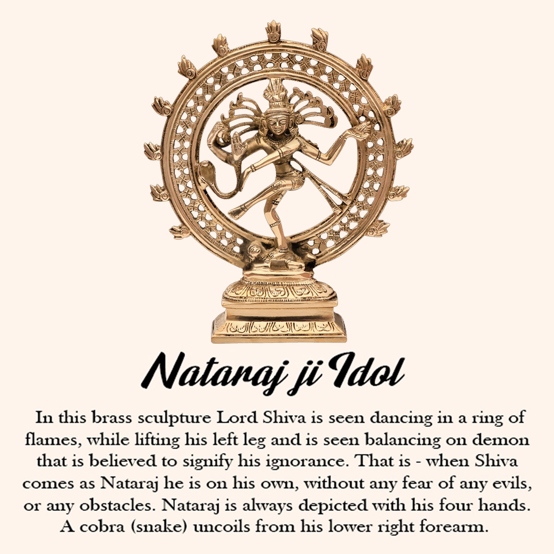 VASTU VARDAN BRASS NATRAJ JI