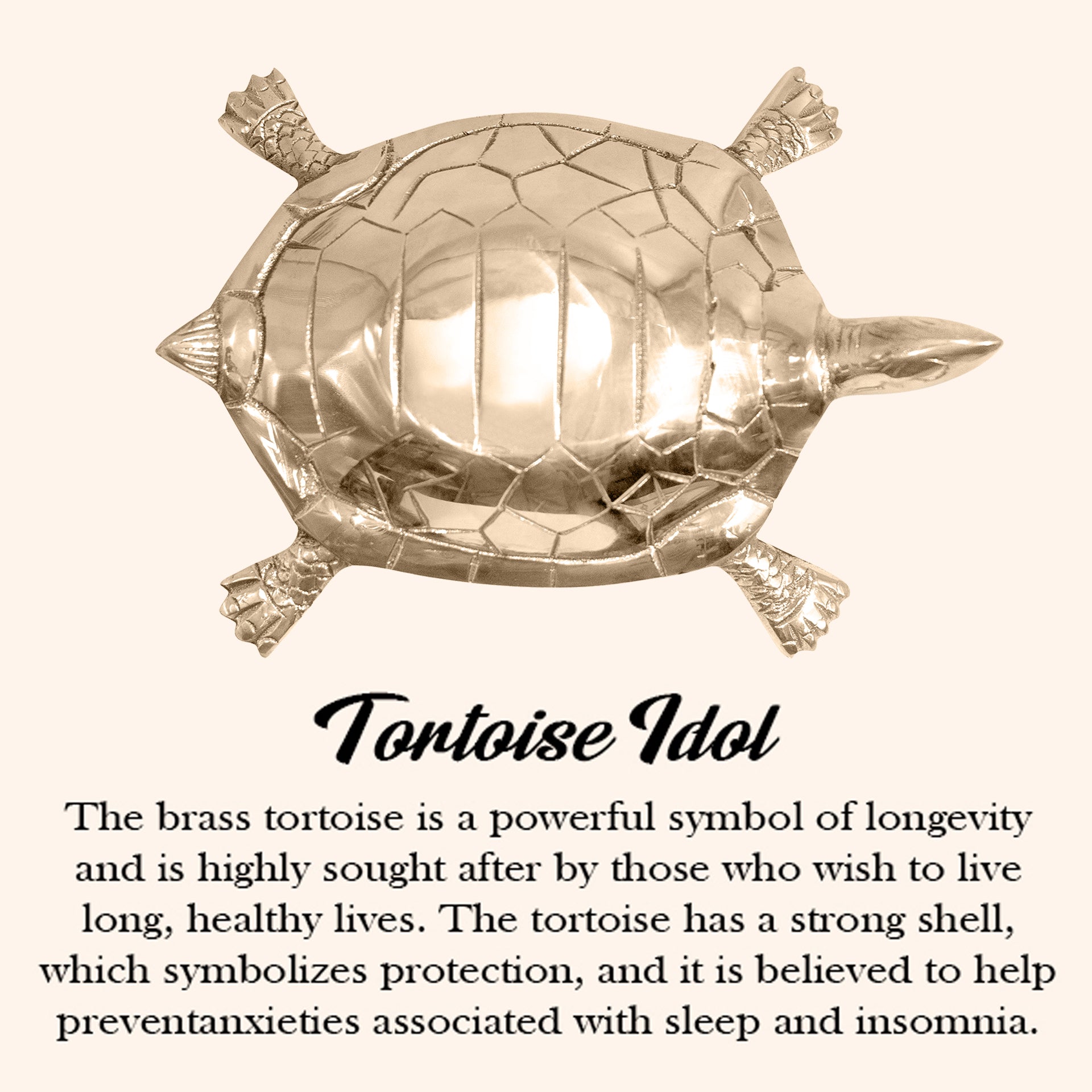 VASTU VARDAN BRASS HOLLOW BIG TURTLE