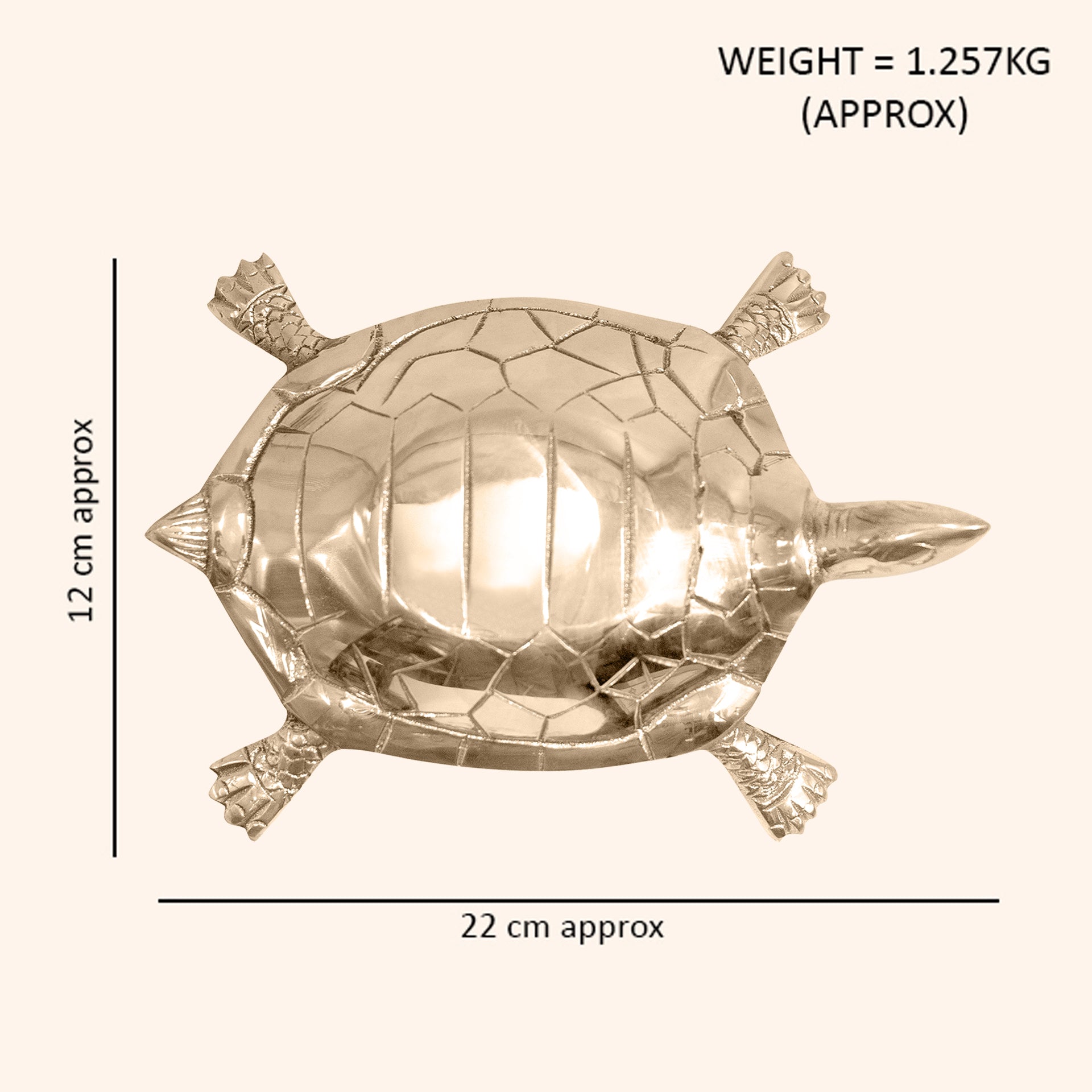 VASTU VARDAN BRASS HOLLOW BIG TURTLE