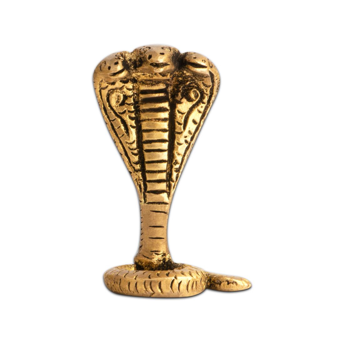 BRASS SNAKE {सर्प} - vastu-vigyan