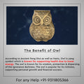 BRASS OWL - vastu-vigyan