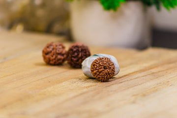 RUDRAKSHA- 9 MUKHI